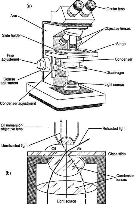 parts of a microscope and function