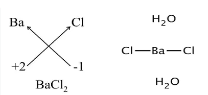 Barium Chloride (bacl2): Properties, Preparation & Uses - Biocheminsider