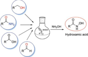 Hydroxamic Acids: Structure, Properties & Uses - BIOCHEMINSIDER